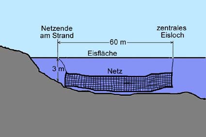 Prinzipdarstellung