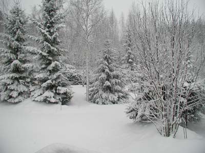 Winterstimmung im Fråhling